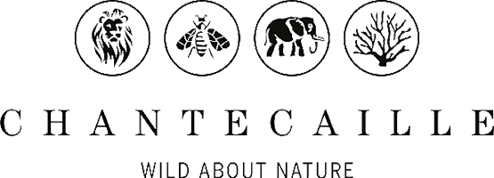 Photo retouching clients